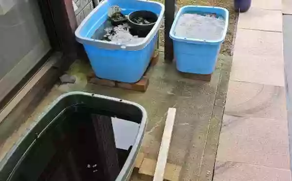 屋内メダカ(他の生体も)を、屋外に移動するための計画