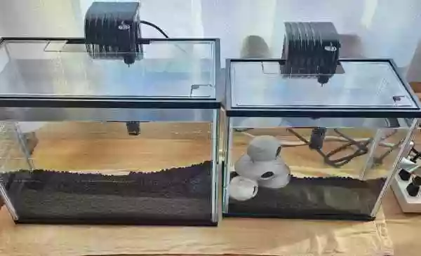 金魚とシュリンプを飼育したいと、環境を整えています