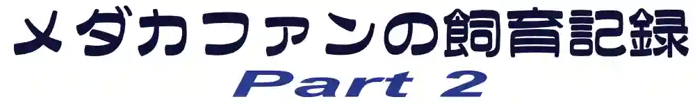 メダカファンの飼育記録 Part 2