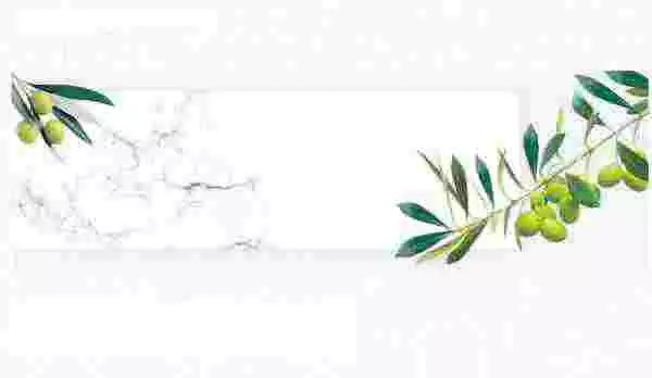 「シリウス Ver2」でサイトの立上げに成功