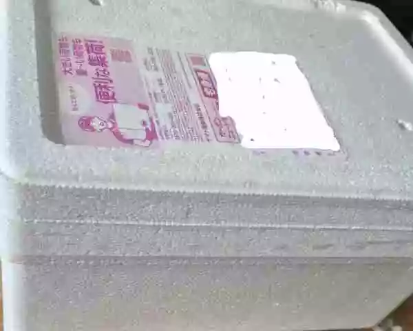 【レッドビーシュリンプ】可愛さに、購入を決断