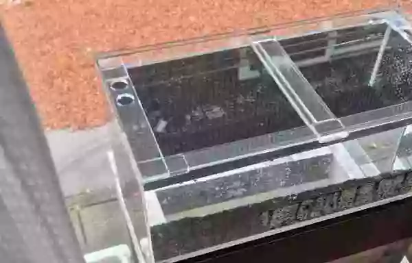 【屋外アクリル水槽】注水し、メダカの受入準備