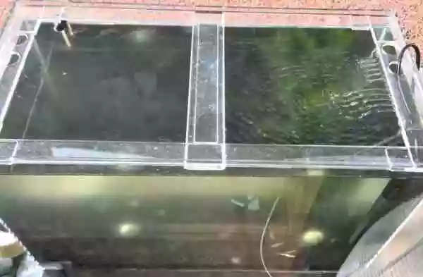 【屋外アクリル水槽】濁りが取れず、再スタート