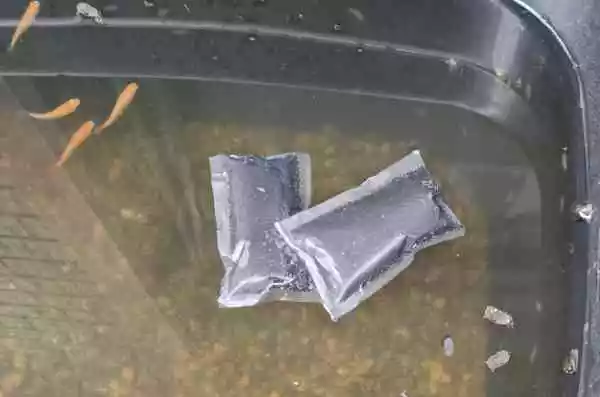 【ブラックホール活性炭】屋外水槽の水質向上に
